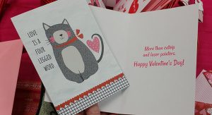 Valentine's Day cards available in the Mini Gift Shop.
