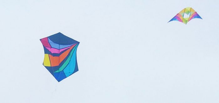 Sue Vogel's kite