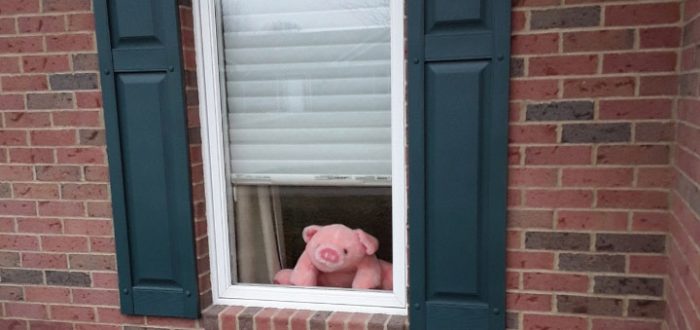 Stuffed pink pig in window