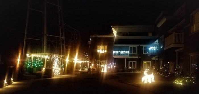 Jewel Garden Light up with Christmas lights
